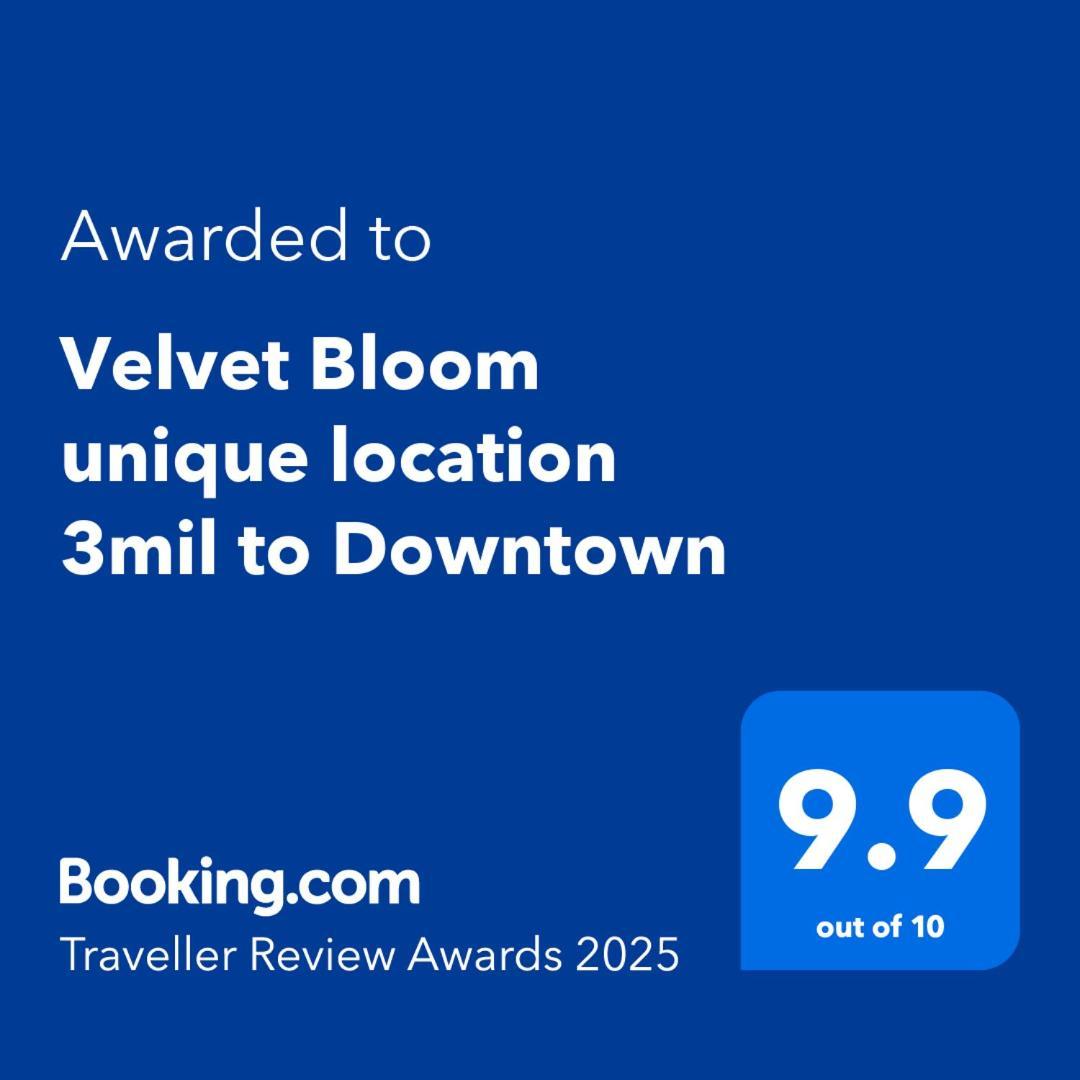 North Naples Velvet Bloom Unique Location 3Mil To Downtownヴィラ エクステリア 写真